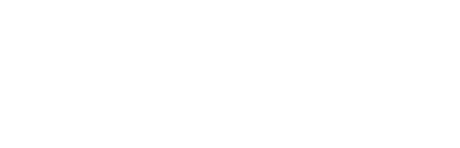 Adyen png white logo