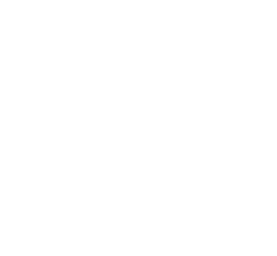 Anteraja png white icon