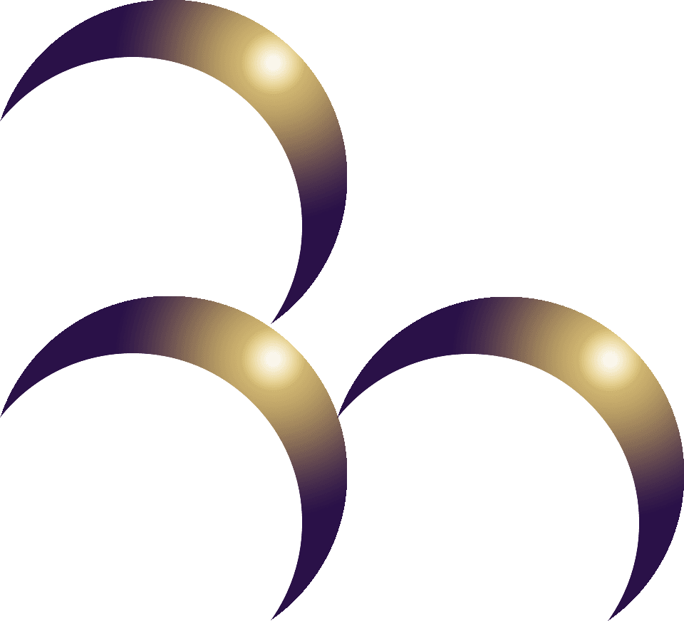 Bank Maluku Malut png dark icon