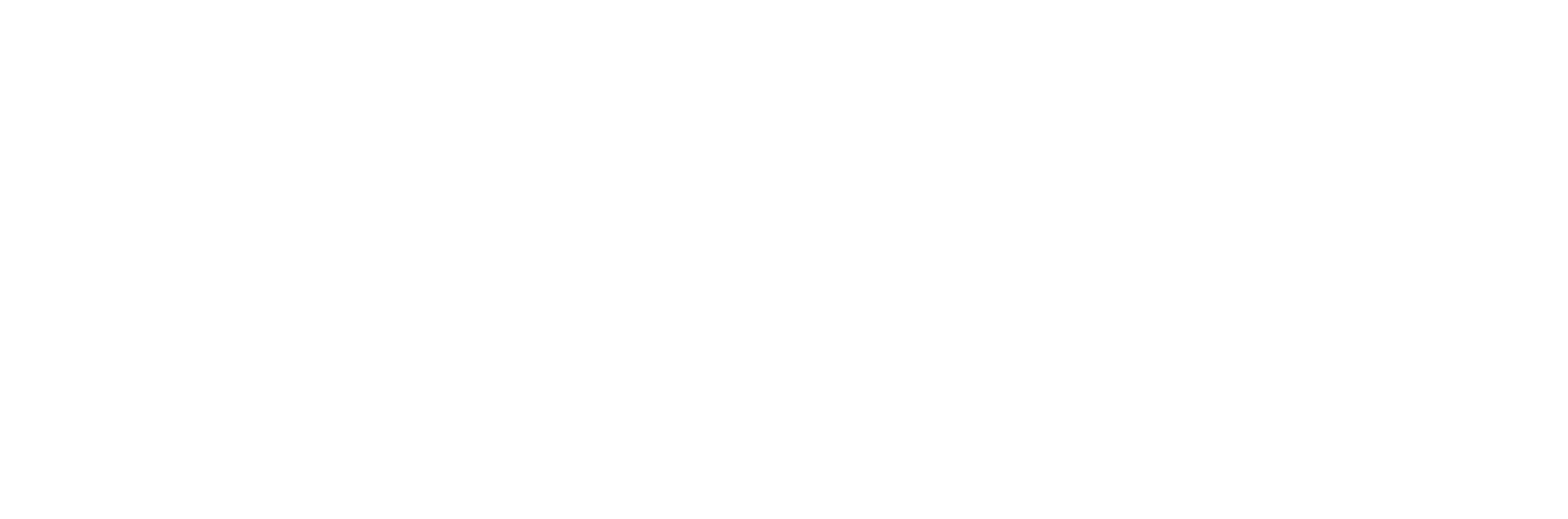 Biznet png white logo