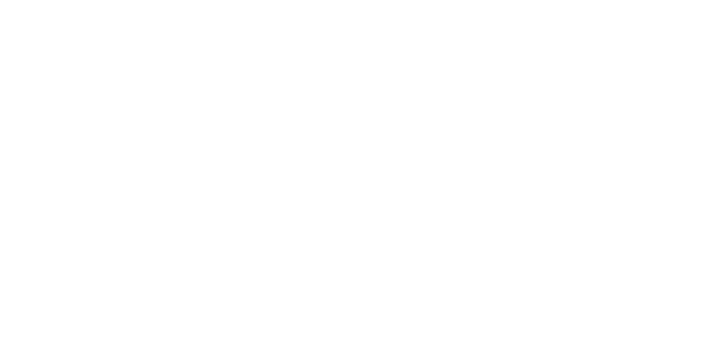 Biznet png white logo