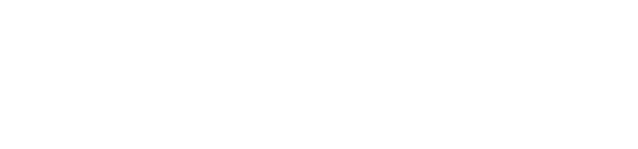 Braintree png white logo