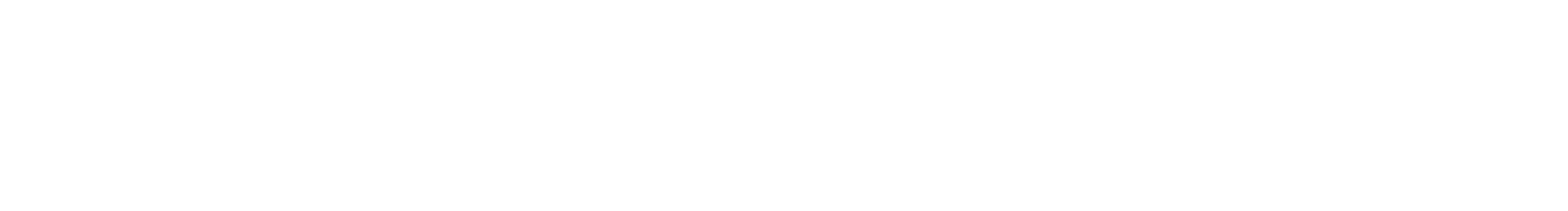 Braintree png white logo