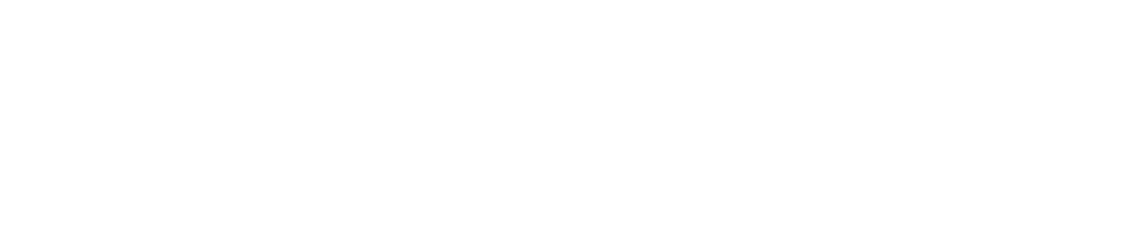 Badan Standardisasi Nasional (BSN) png white logo