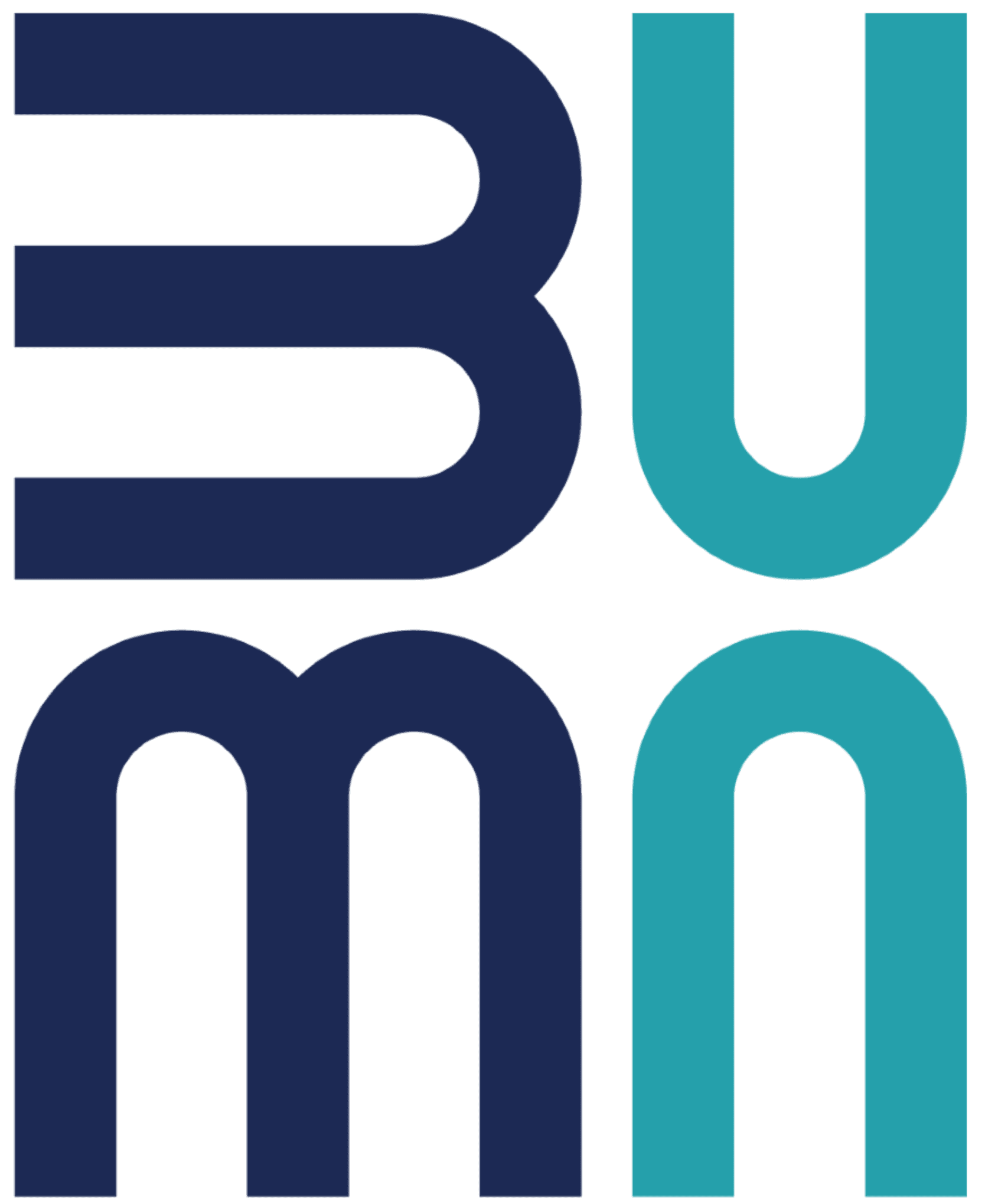 BUMN logo