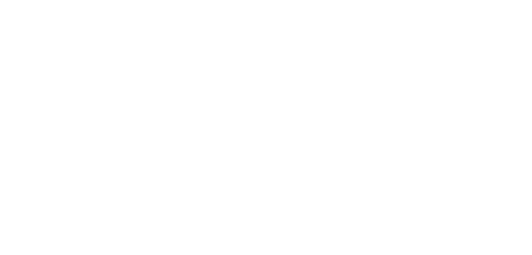 First Media png white logo