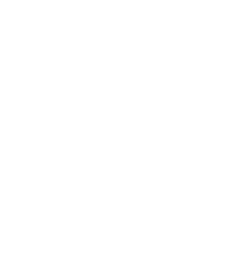 ICONNET png white icon