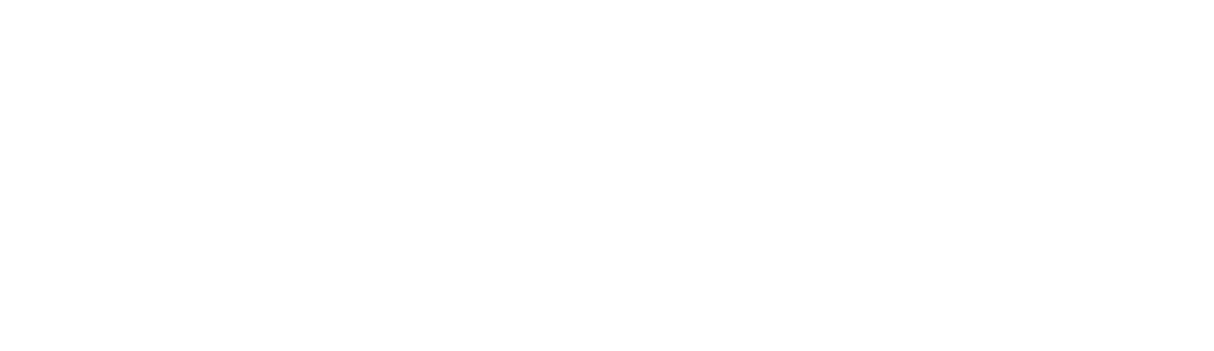 ICONNET png white logo