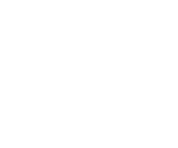 ID Express png white logo