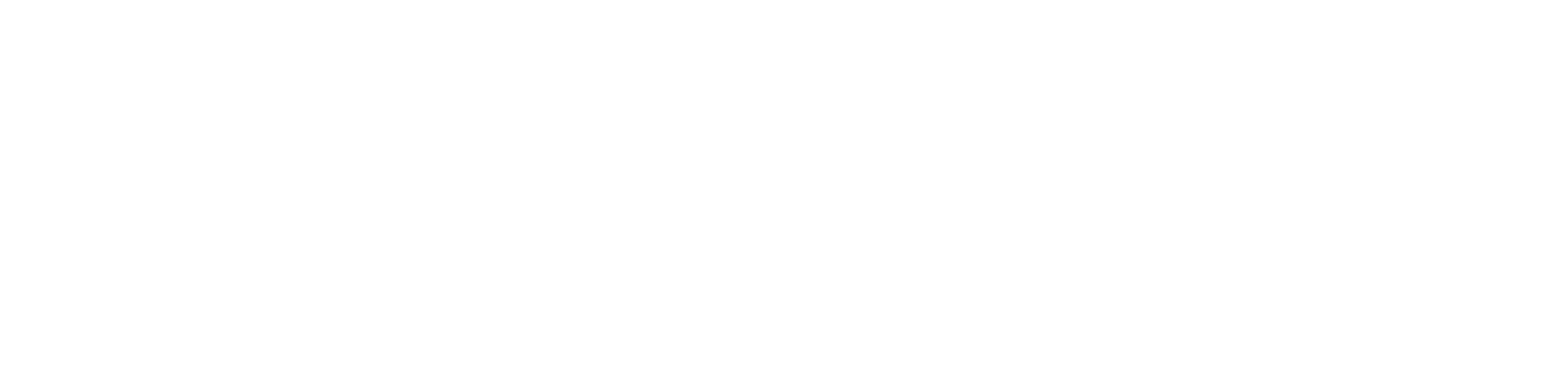 inDrive png white wordmark