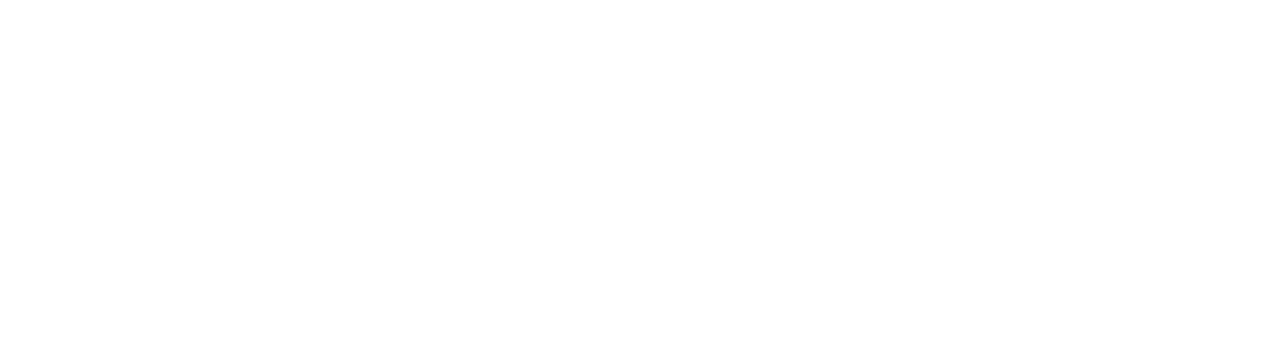 Instagram png white wordmark