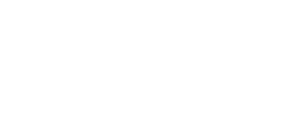 Internet Rakyat png white logo
