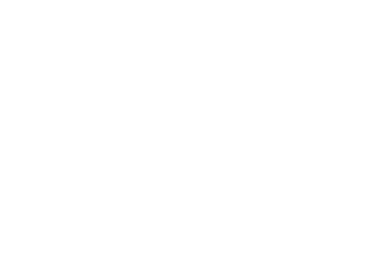 Executive Office of the President Indonesia png light logo