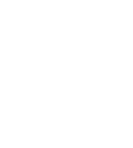 Lion Parcel png white icon