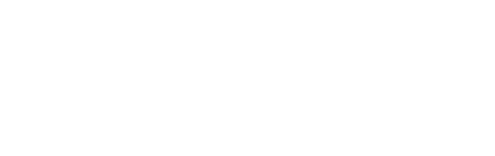 Paxel png white logo