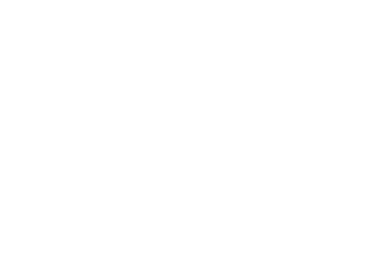 Surveyor Indonesia png white icon