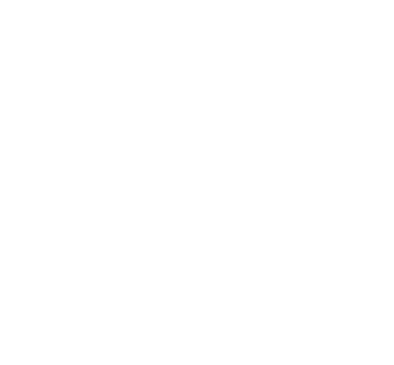 Riot Games png white icon