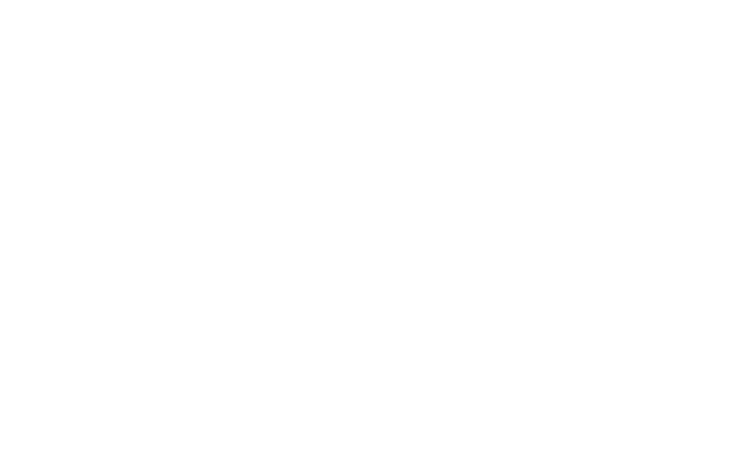 SAP Express png white icon