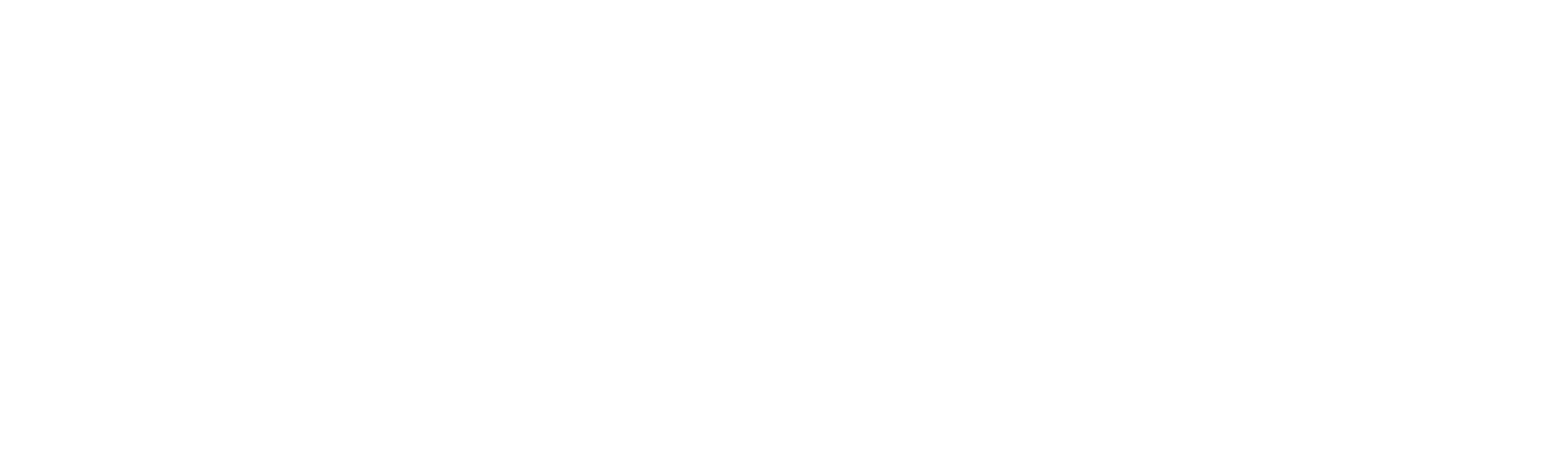 XL Satu png white logo