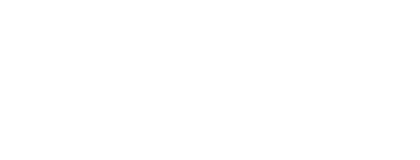 Starlink png white icon