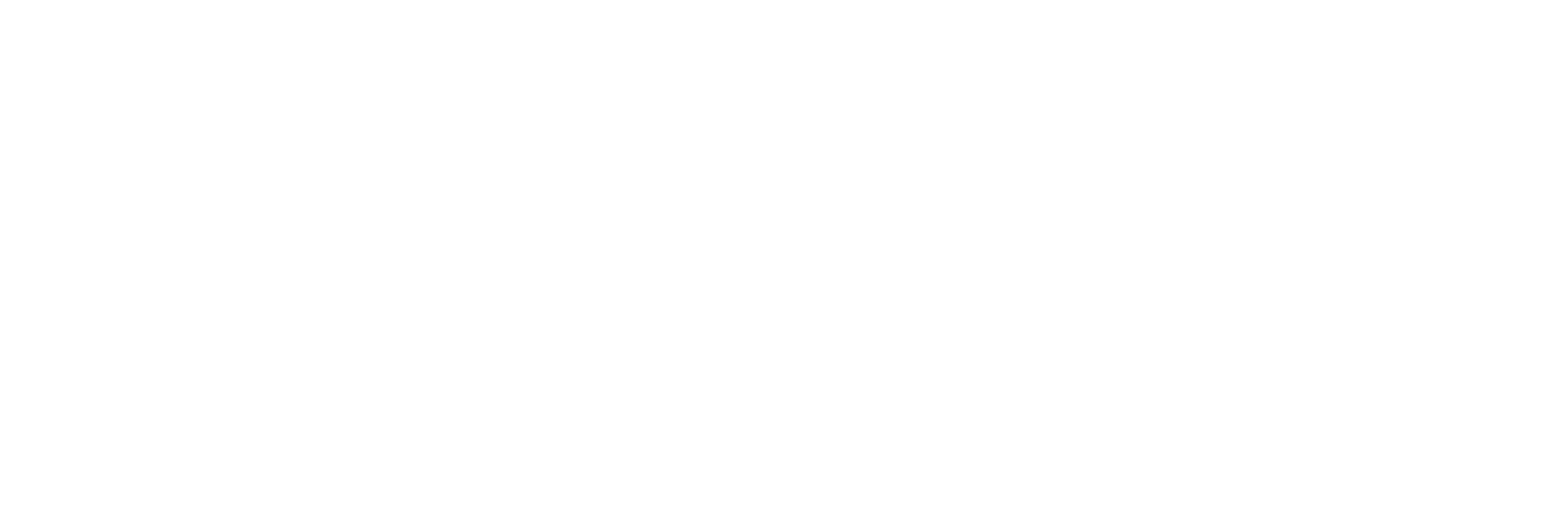 Visa png white logo