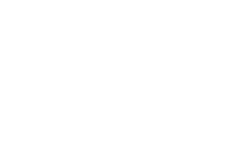 Wahana Express png white icon