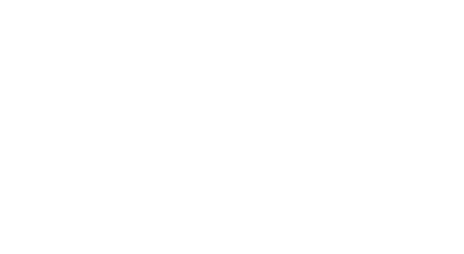 Western Union png white icon