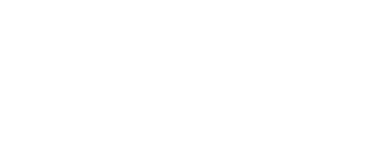 Wise png white logo