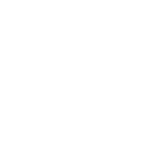 XLSMART png white icon