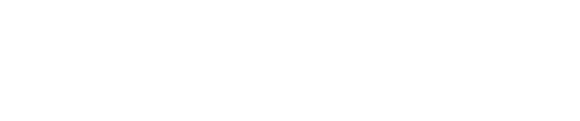 XLSMART png white logo