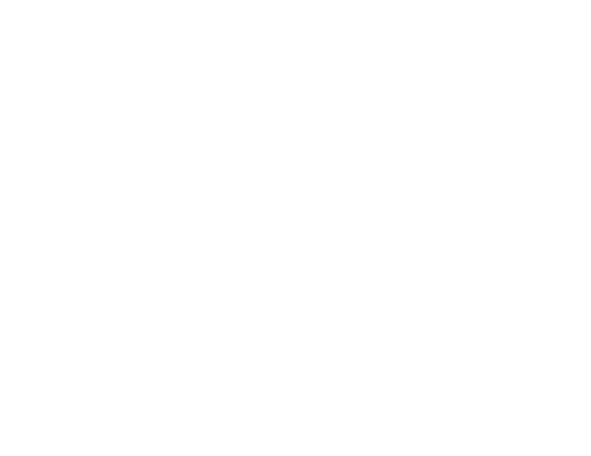 Bank BSN png white logo