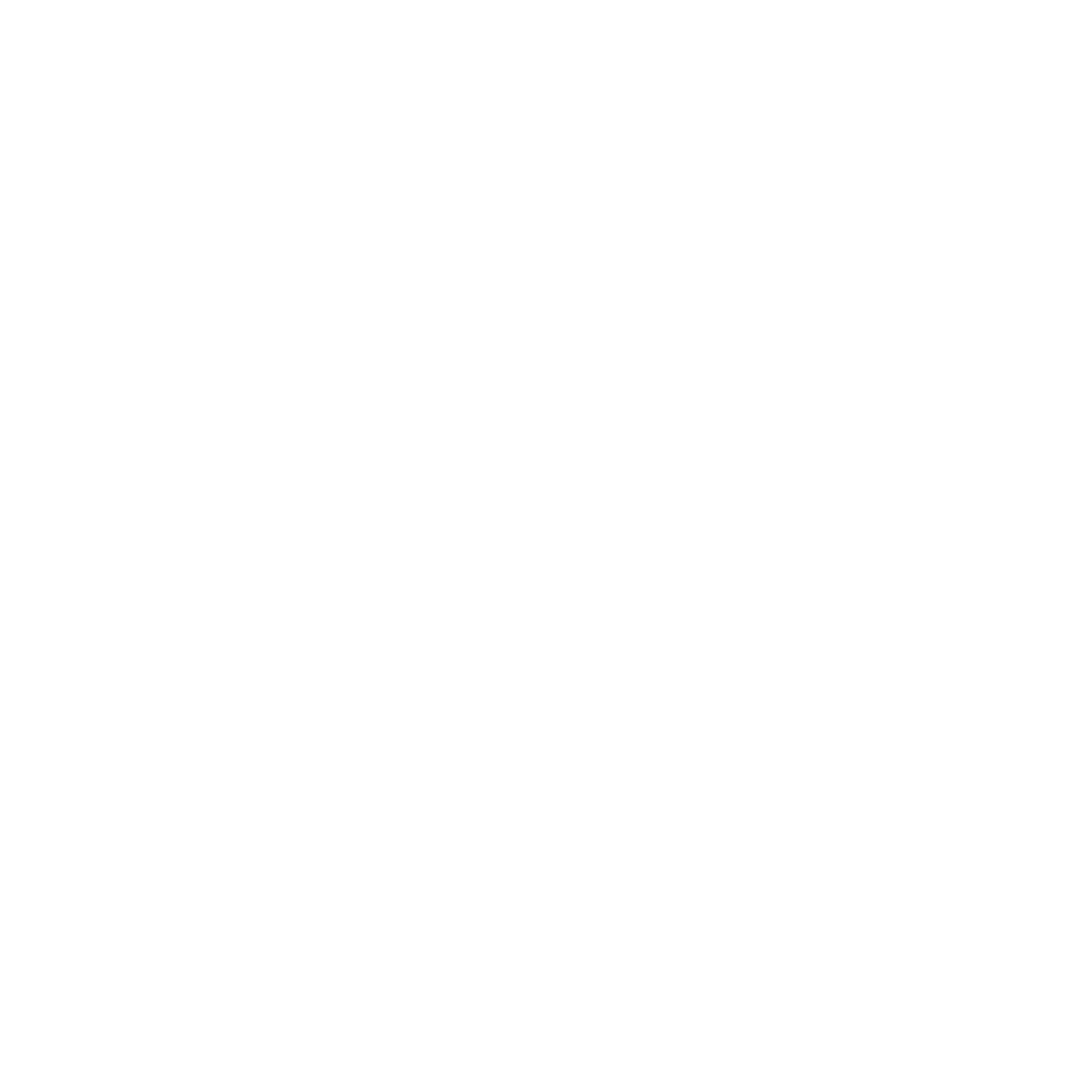 BGN png white logo