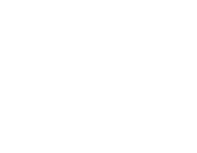 Badan Pusat Statistik (BPS) png white logo