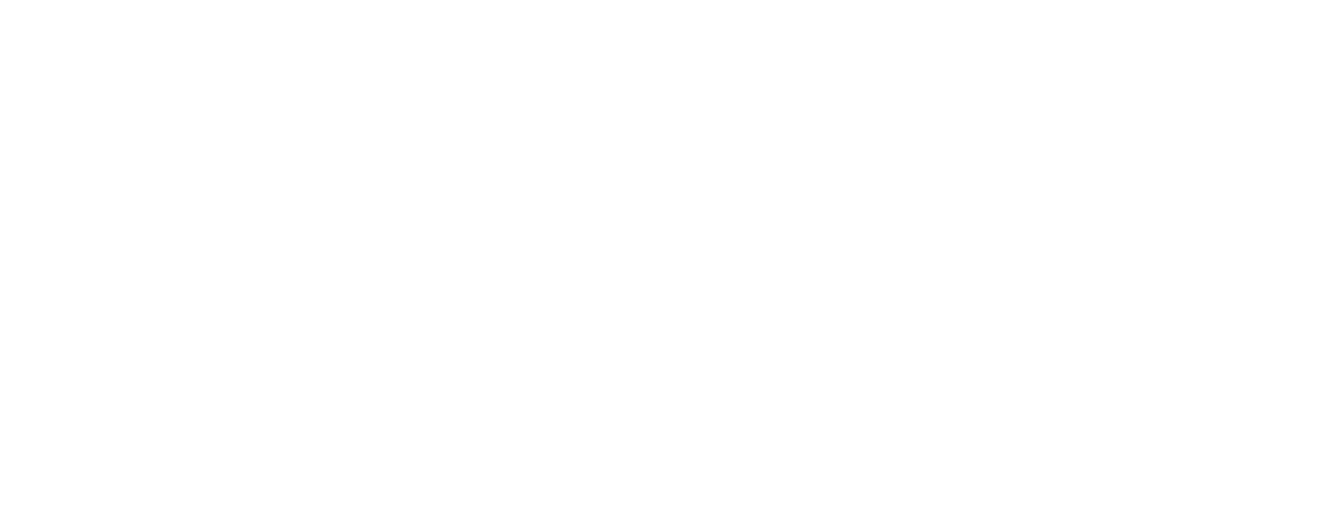 BRIN png white logo