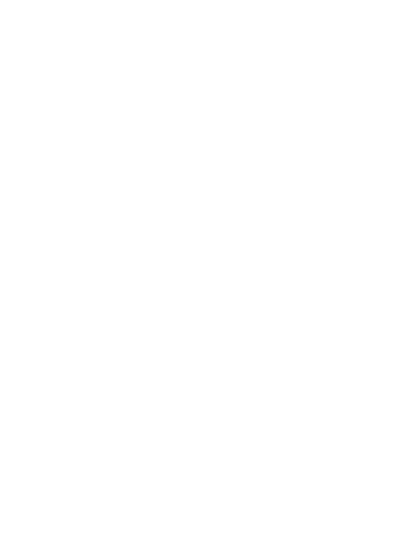 BRIN png white logo