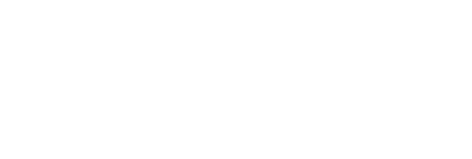 BRIZZI png white logo