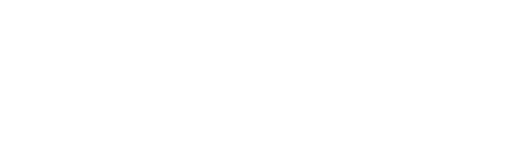 BRIZZI png white logo