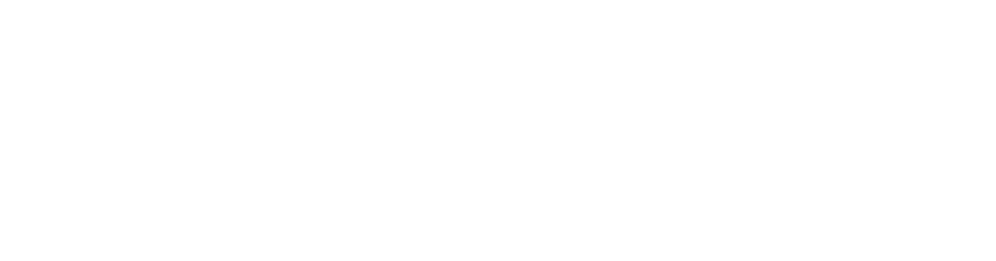 Indodana png white logo