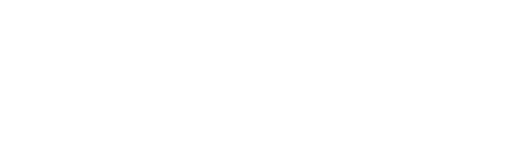 Indodana png white logo