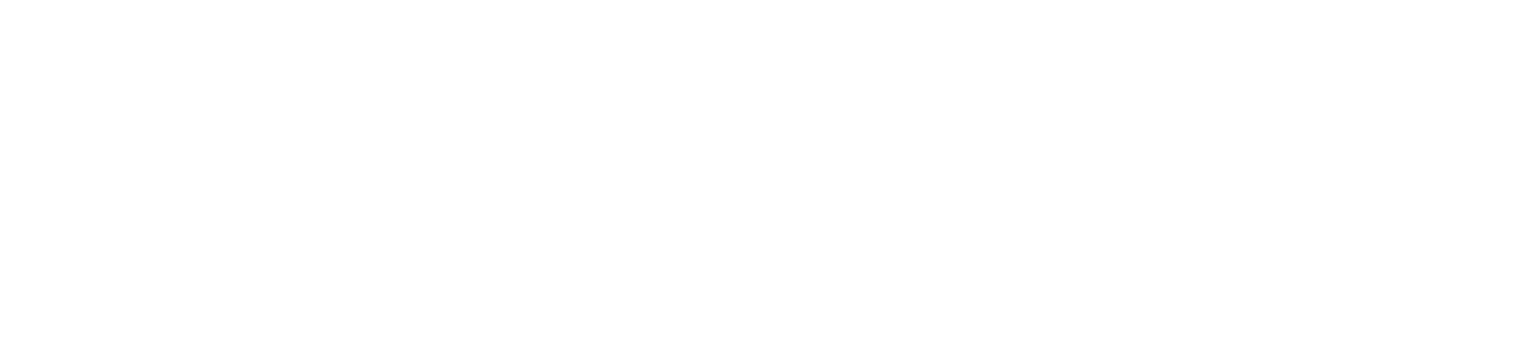 J&T Cargo png white logo