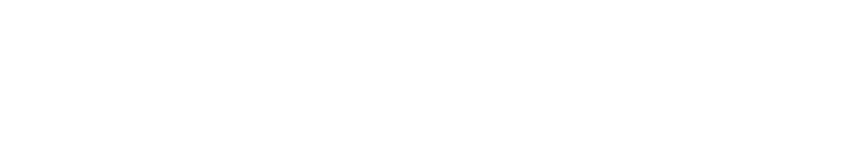 Lion Parcel png white logo