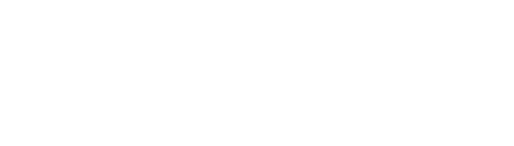 Napkin AI png white logo