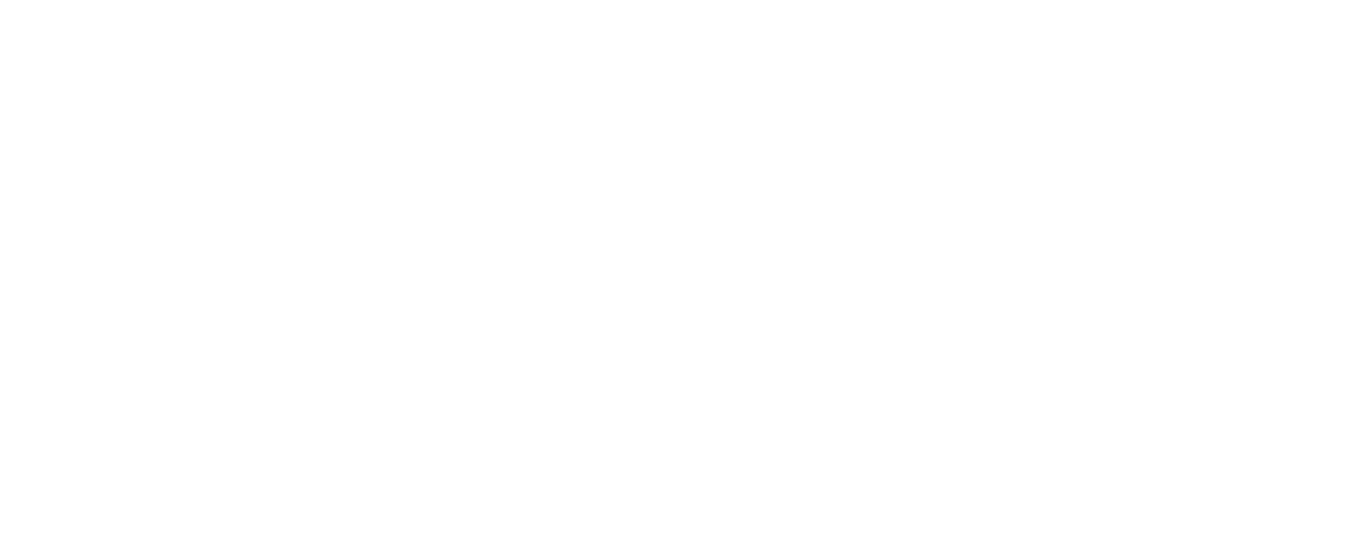 Netlify png white logo
