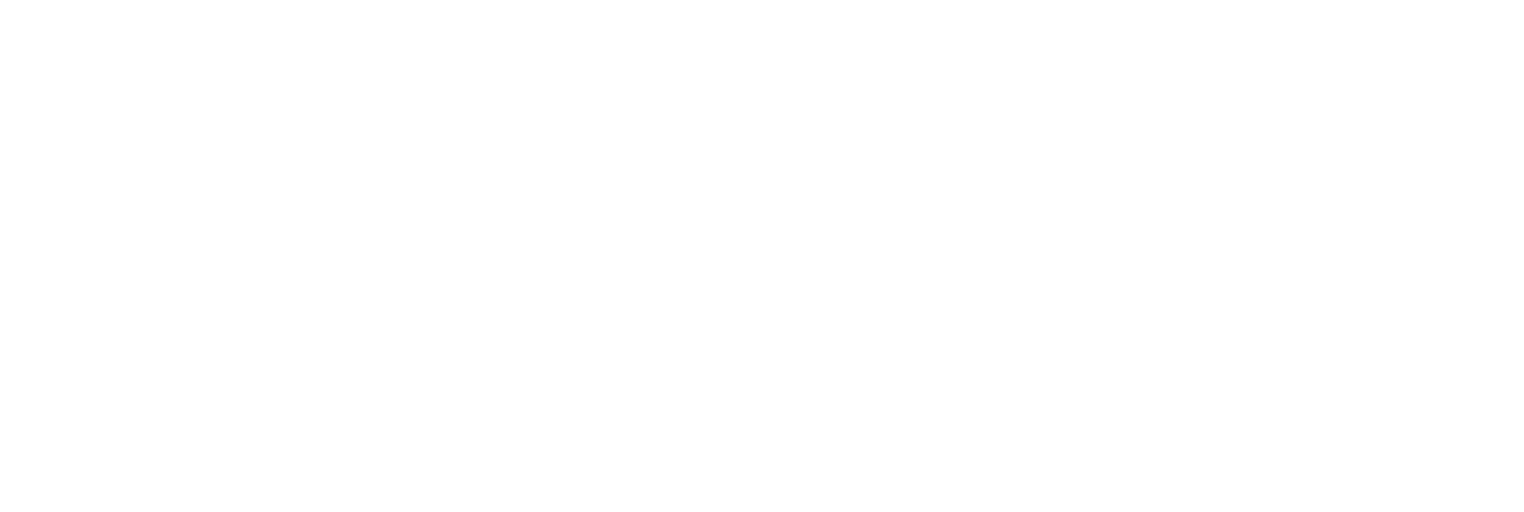 PayPal png white wordmark