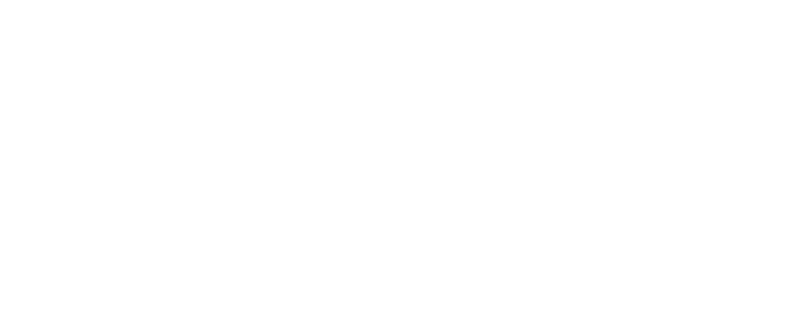 PNM (Permodalan Nasional Madani) png white logo