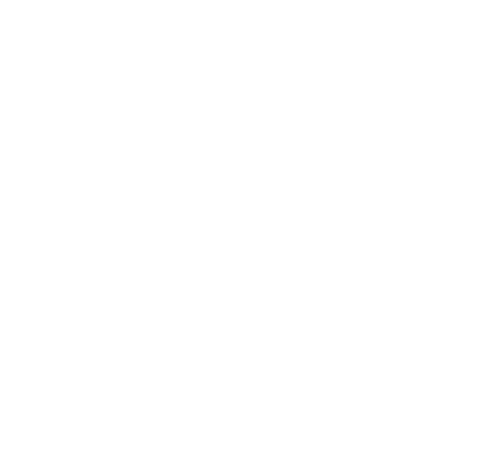 Seal of the President of Indonesia png light logo