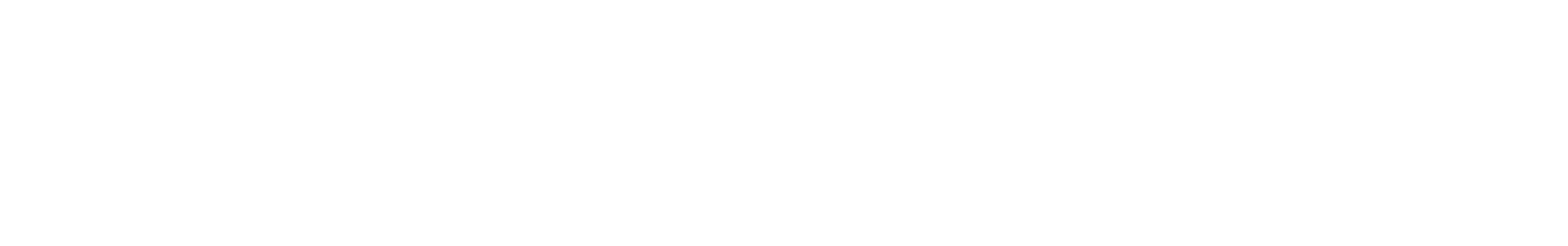 Surveyor Indonesia png white logo
