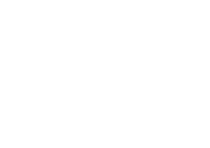 Surveyor Indonesia png white logo