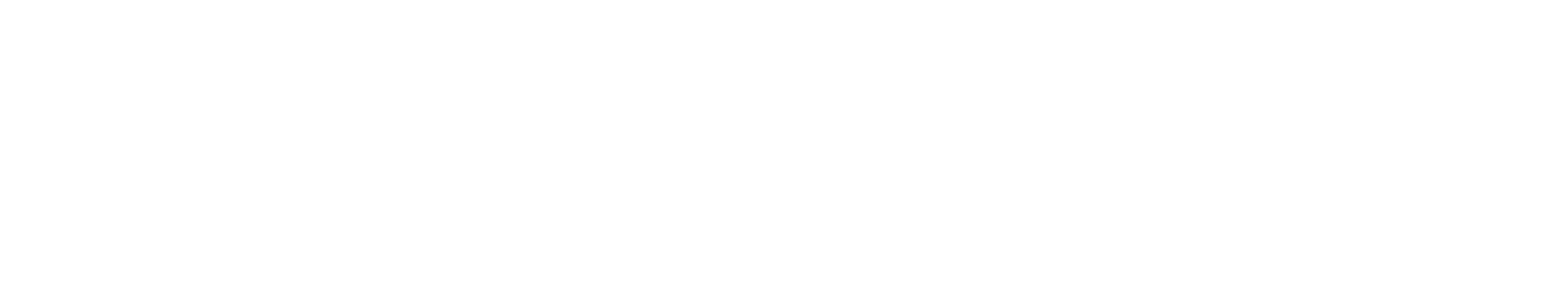 ShopeePay png light logo