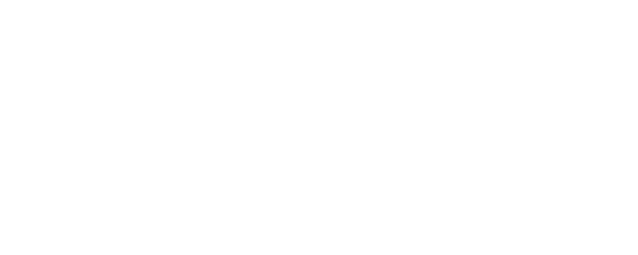 SPX Express png white logo